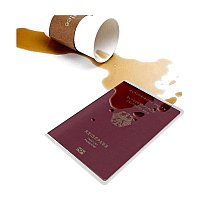 Pasaport Kabı  küçük görsel